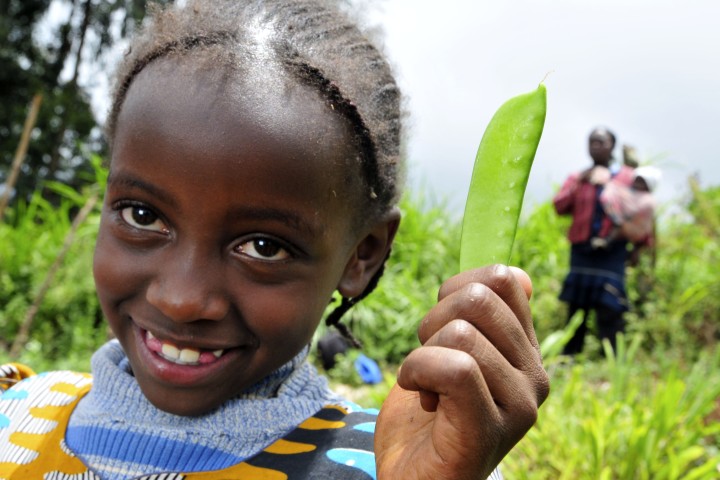 L'énorme potentiel de l'agriculture pour ralentir le changement climatique